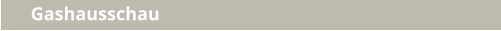 Gashausschau