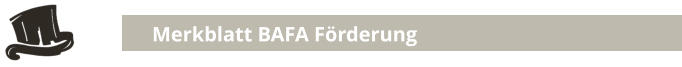 Merkblatt BAFA Förderung