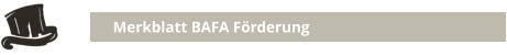 Merkblatt BAFA Förderung